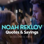 Top 10+ Noah Roklov Quotes from ‘Nobody Wants This’