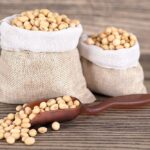 As the U.S. soybean harvest approaches, farmers warn of a dire scenario with zero orders from China, historically the largest buyer 