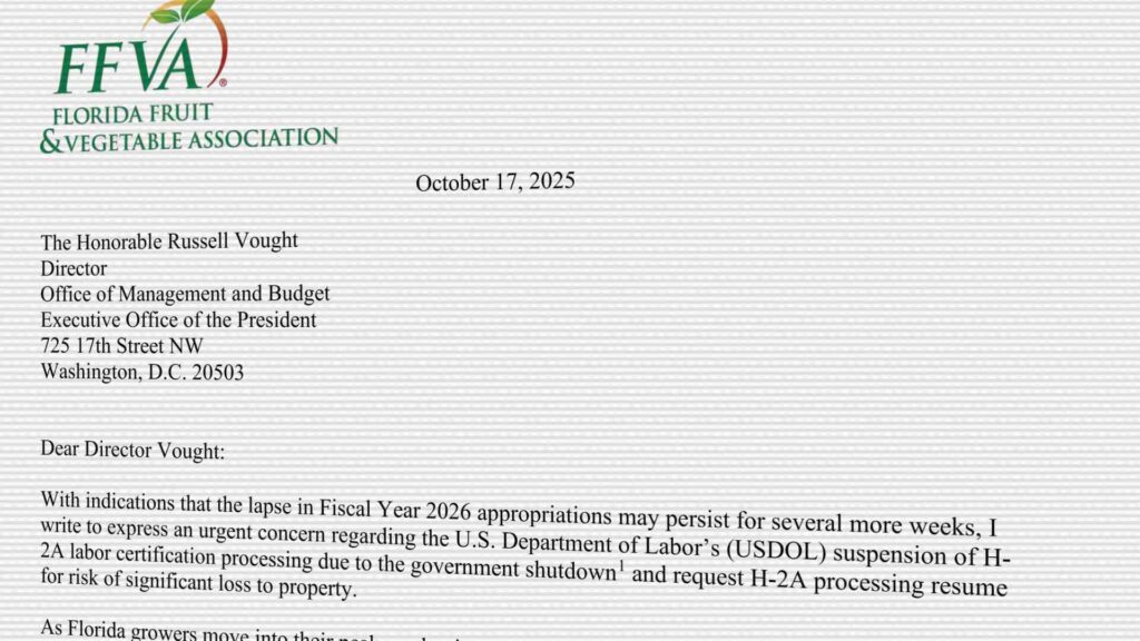 “Trump is ignoring us” — Florida farmer who backed GOP financially now facing $30K-per-acre losses “Trump is ignoring us” — Florida farmer who backed GOP financially now facing $30K-per-acre losses