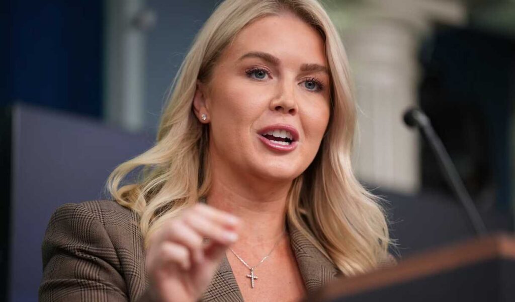 Karoline Leavitt openly says Americans with Democratic reps can be treated differently in shutdown