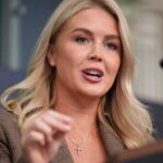 Karoline Leavitt openly says Americans with Democratic reps can be treated differently in shutdown