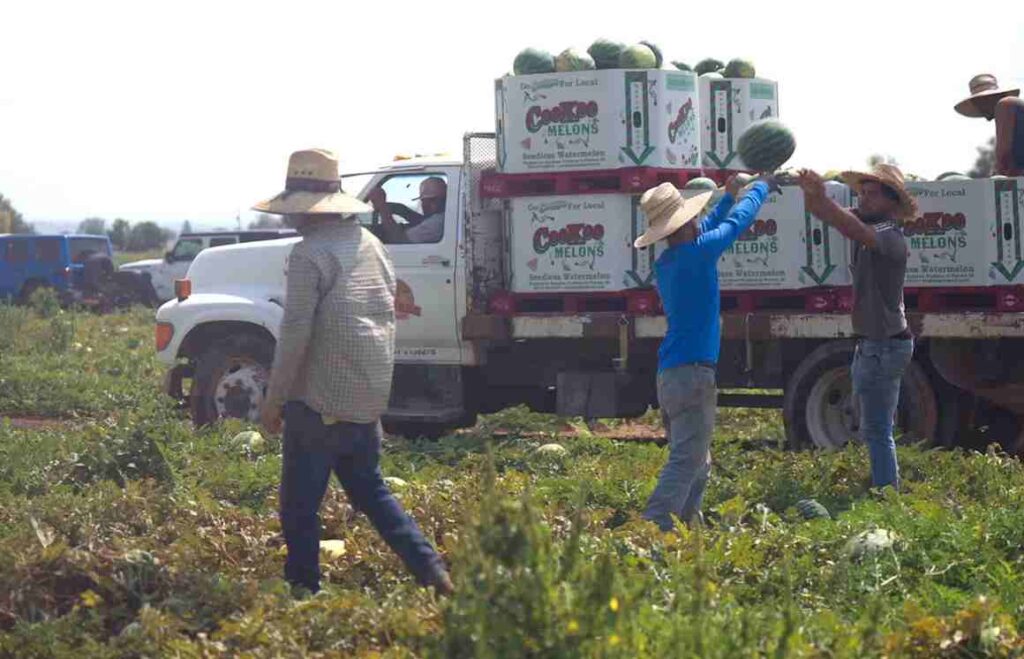 “Don’t do us wrong”: Deep-red state Pro-Trump family devastated as farm faces collapse under Trump’s policies