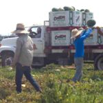 “Don’t do us wrong”: Deep-red state Pro-Trump family devastated as farm faces collapse under Trump’s policies “Don’t do us wrong”: Deep-red state Pro-Trump family devastated as farm faces collapse under Trump’s policies