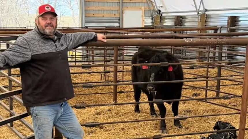 “Dear president, we aren’t happy”: proud Trump rancher loses his entire year’s profit after Trump sides with corporate meatpackers “Dear president, we aren’t happy”: proud Trump rancher loses his entire year’s profit after Trump sides with corporate meatpackers
