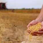 “It’s fucking too late now”: Farmers say the $12B aid is a slap in the face while big corporations walk away with the real money “It’s fucking too late now”: Farmers say the $12B aid is a slap in the face while big corporations walk away with the real money