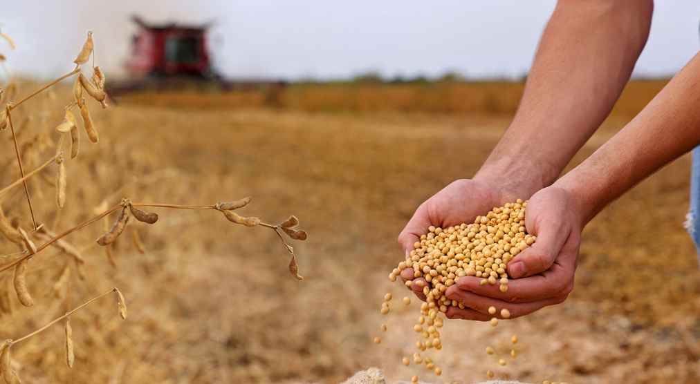 “It’s fucking too late now”: Farmers say the $12B aid is a slap in the face while big corporations walk away with the real money