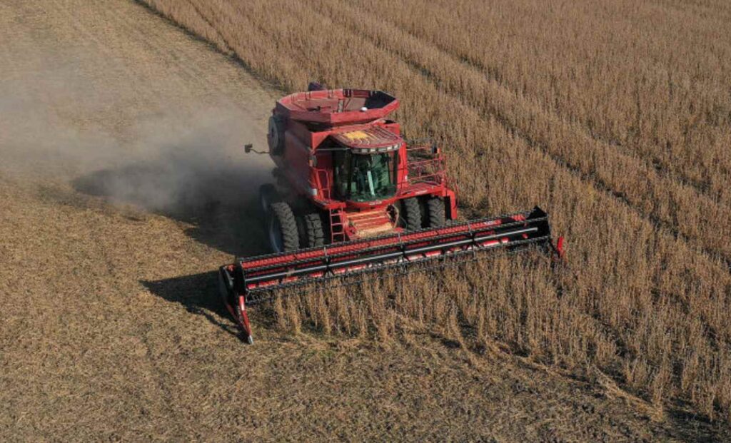 New report shows Ohio farmers lost 74% of Chinese sales in one year, largely because of Trump tariffs