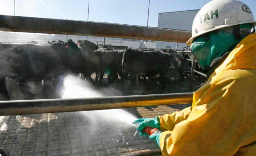 “Nobody warned us”: MAGA town that overwhelmingly backed Trump with 74 percent now faces massive job losses