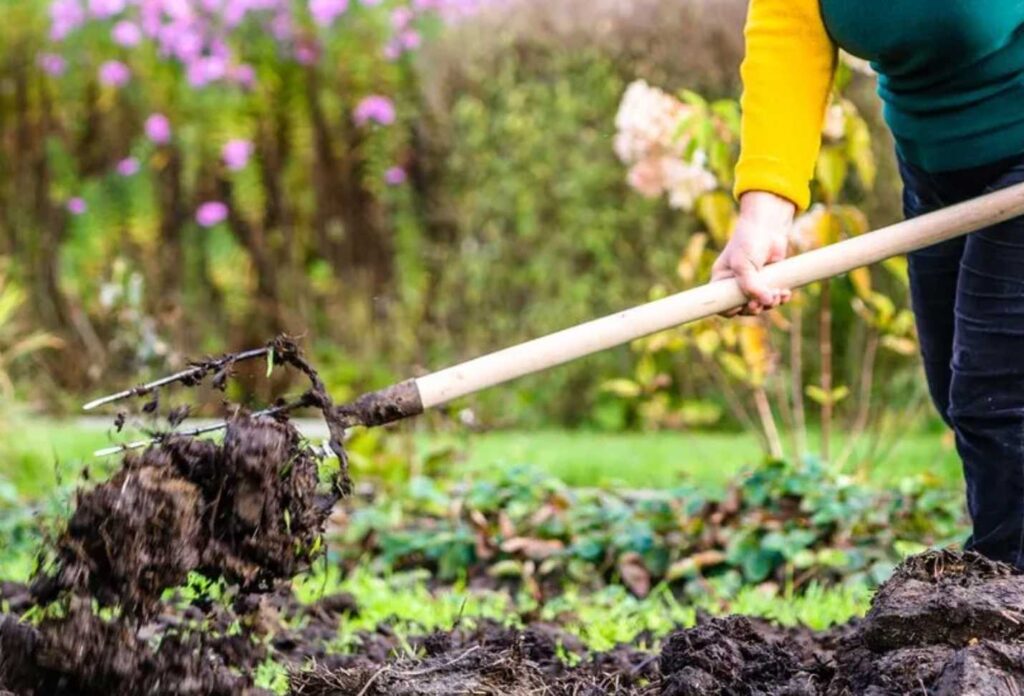 “It’s nowhere enough”: US farmers say Trump’s $50-an-acre aid won’t stop thousands of family farms from going bankrupt