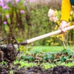 “It’s nowhere enough”: US farmers say Trump’s $50-an-acre aid won’t stop thousands of family farms from going bankrupt