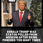 Trump wax statue gets pulled from texas museum after too many people punched it