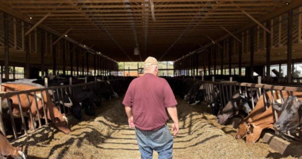 Pennsylvania dairy farm that once cheered Trump is now struggling to survive because of his policies