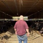 Pennsylvania dairy farm that once cheered Trump is now struggling to survive because of his policies