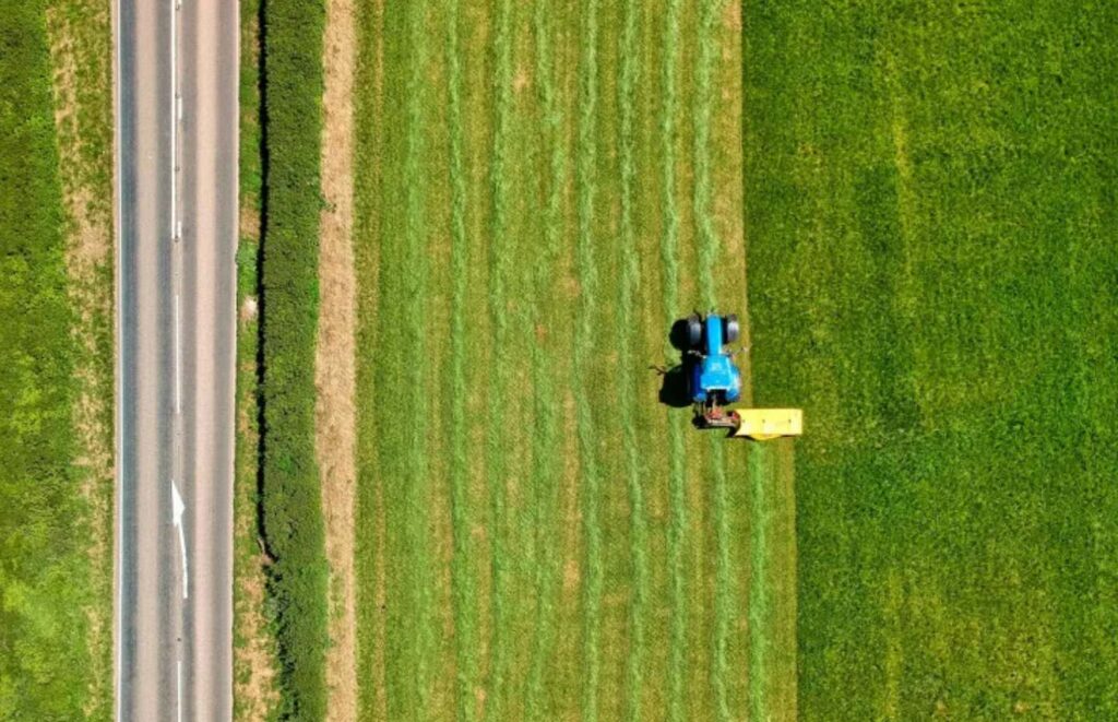 Trump administration quietly brings migrant workers back to fix the farm labor shortage its own policies created