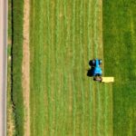 Trump administration quietly brings migrant workers back to fix the farm labor shortage its own policies created