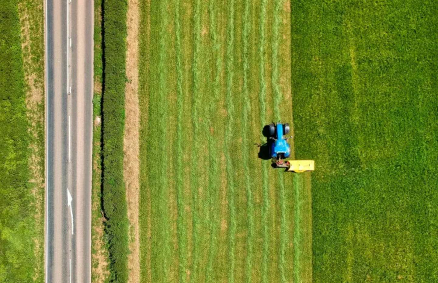 Trump administration quietly brings migrant workers back to fix the farm labor shortage its own policies created