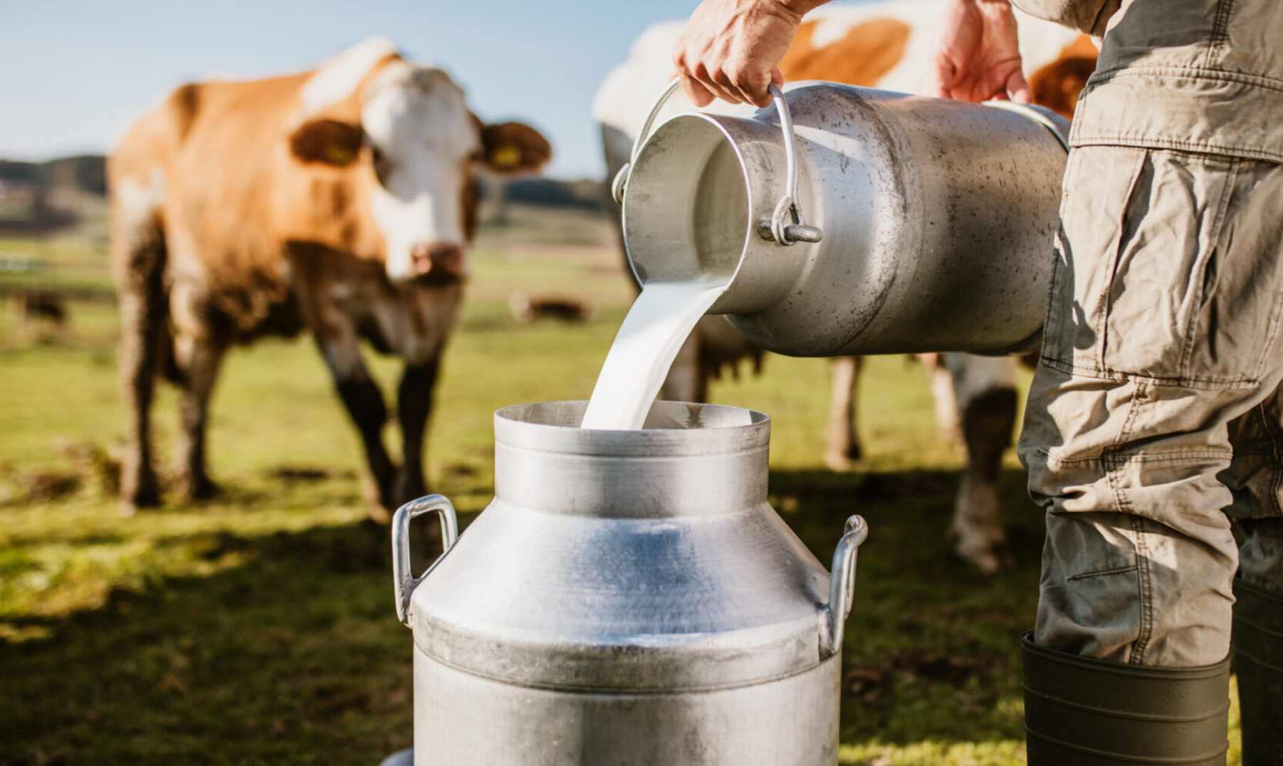 More than 60 people following RFK Jr.'s advice are sick from drinking raw milk in Idaho in past two weeks, Officials say